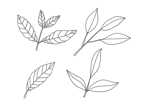 Einfaches Handgezeichnetes Doodle Blätter Silhouettenvektor Für Malbuch Vektorillustration — Stockvektor