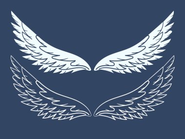 Melek ya da kuş kanatları sanat eseri. vektör karalama çizimi