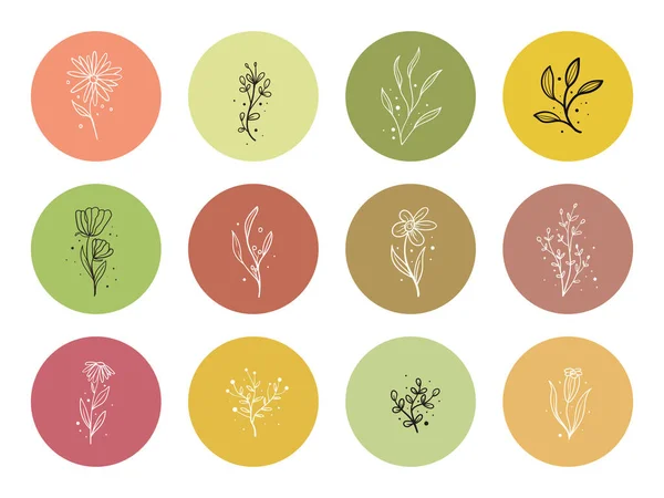 Handgezeichnetes Set Floraler Elemente Blume Blätter Ikone Hervorheben — Stockvektor