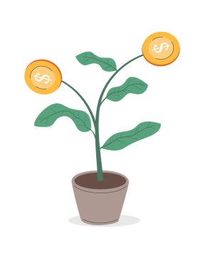 Saksı para ağacı pasif yatırım geliri metaforu olarak büyüyor