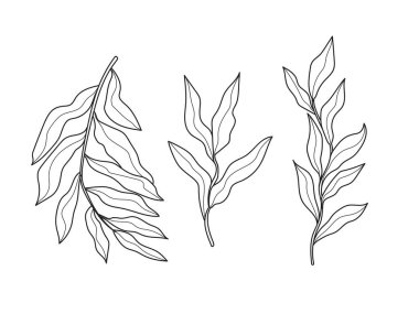 Yapraklı el çizimi dallar, davetiye, dokorasyon, çiçek.