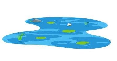 Süslü gölet, beyaz su zambağı, taş kaya ve bulrush bitkileri.