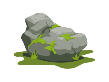 Yosunlu taş, ormanların doğa unsuru.