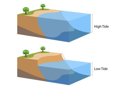 Yüksek ve alçak gelgit, su seviyesi