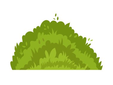 Yeşil çalı, yaprakları ve dalları olan tüylü çalı.