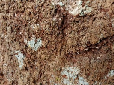 Ağaç gövdesi. Ağacın eski dokusu, kökünden sökülmüş. Uçurumlar gibi düzensiz ve benzersiz desenler. Doğal arka plan için iyi Doğa konsepti ve grafik kaynaklarının ihtiyaçları için