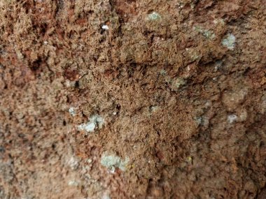 Ağaç gövdesi. Ağacın eski dokusu, kökünden sökülmüş. Uçurumlar gibi düzensiz ve benzersiz desenler. Doğal arka plan için iyi Doğa konsepti ve grafik kaynaklarının ihtiyaçları için