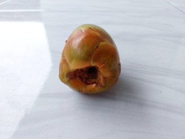 Beyaz granit zeminde mini hindistan cevizleri. Hindistan cevizleri hakkında araştırma. Doğa arkaplanı