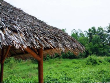Oturup rahatlamak için sazdan çatılı ya da hindistan cevizi yapraklı bir kulübe. Asya 'da dinlenmek için eşsiz bir bina. Rahatlama ve tatilden zevk alma teması için bir arka plan
