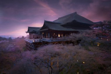 Japonya 'daki Ağaç Tepesi Tapınağı