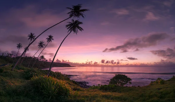 Východ Slunce Tropickém Ostrově Stock Obrázky