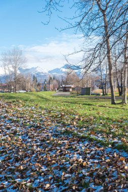 Karlı kahverengi yapraklar Anchorage, Alaska 'daki Chugach Dağı' na kadar uzanıyor. Ekim ayı başlarında Spenard Gölü yakınlarındaki otel ve konut binalarıyla yeşillik.