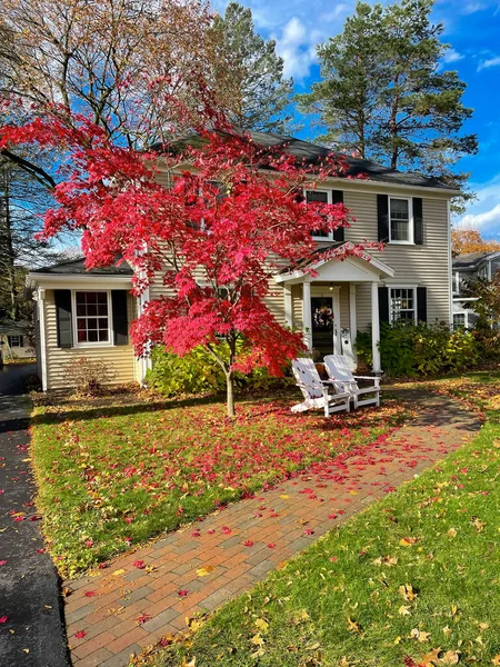 Red brick walkway leading to front porch of two story house with colorful red maple leaves and white Adirondack chairs in suburbs Rochester, New York, USA. Front yard seating living space in autumn