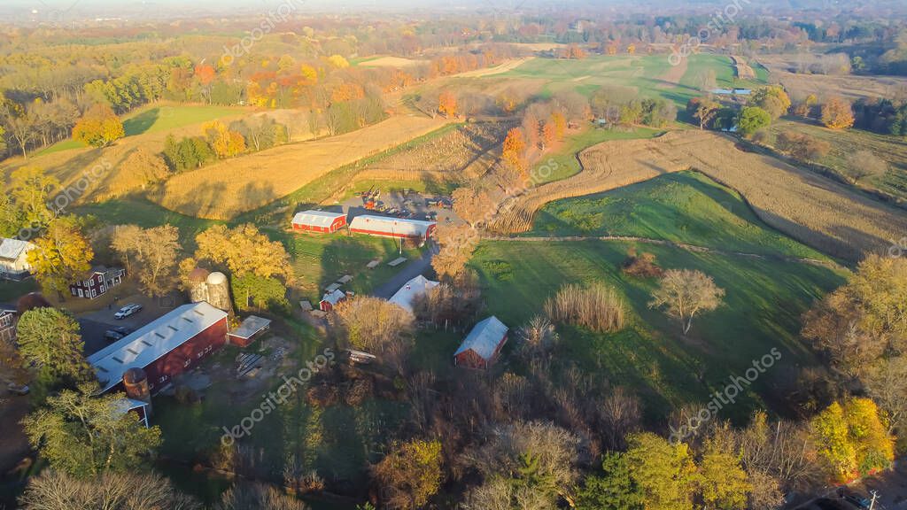 Large corn fields in historic setting of traditional farms dairy American red barn houses