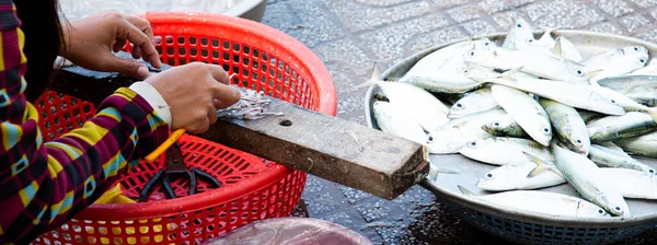 Panorama top view woman hand processing fresh small anchovy fish using sharp knife at local wet market in Vung Tau, Southern Vietnam. Small seafood shop vender on tile pathway