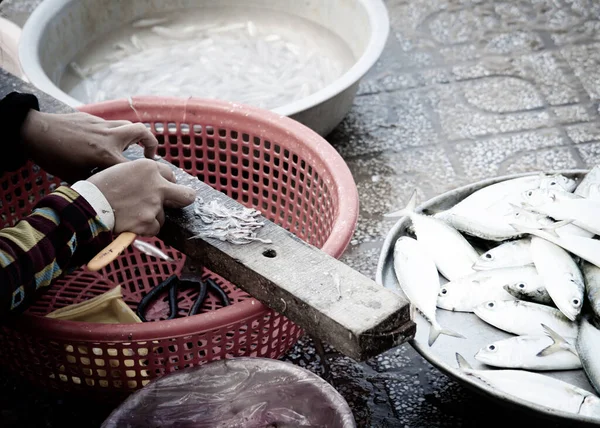 Toned photo top view woman hand processing fresh small anchovy fish using sharp knife at local wet market in Vung Tau, Southern Vietnam. Small seafood shop vender on tile pathway