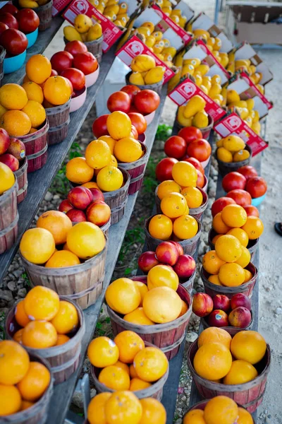 Navel orange, honeybell oranges, tomatoes, mangos carton boxes on shelves display roadside market stand in Santa Rosa, Destin, Florid, homegrown fruits summer harvest stall. Organic food local grow