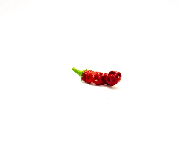Peter Pepper Penis Pepper Rare Ripe Fruit Distinctively Interesting Phallic — стоковое фото