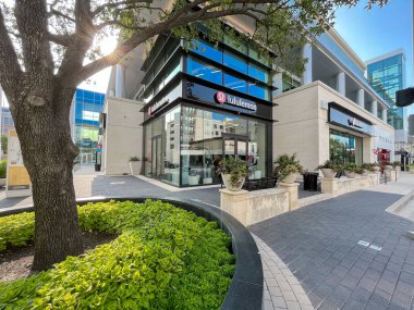 PLANO, TX, US-AUG 18, 2023: Legacy West yaşam tarzı merkezi Plano, Texas 'taki Lululemon mağazasının önünde güzel peyzaj halkası olan büyük Güney meşe ağacı. Perakende satış yeri, restoran ve ofis alanı
