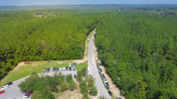Lush green floodplain and uplands bald cypress trees with roadside parking cars along the entrance to Morrison Springs County Park in Walton County, Florida. Aerial view forest woodlands horizontal