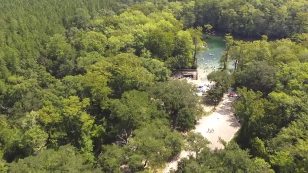 佛罗里达州沃尔顿县莫里森斯普林斯县公园周围绿油油 光秃秃的柏树环绕着水平线的天桥清澈的游泳池 — 图库视频影像