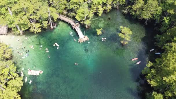 美国佛罗里达州沃尔顿县莫里森斯普林斯县公园的人们喜欢游泳 从甲板跳到深蓝色的海水 还有皮划艇和休闲活动 — 图库视频影像