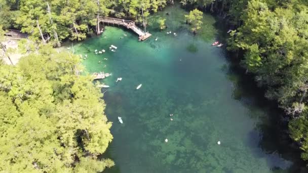 美国佛罗里达州沃尔顿县莫里森斯普林斯县公园的皮划艇 跳下甲板 漂浮至深蓝色海水 — 图库视频影像
