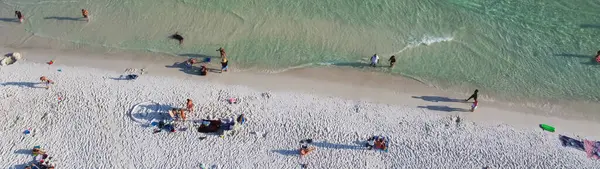 Panorama çeşitli karga türleri yüzme, şekerli beyaz kumlu kıyı şeridi, turkuaz su, Güney Walton plajı, Destin, Florida, ABD, renkli çadırlar, tente, şezlong sandalyeleri üzerinde dinlenme. Seyahat hedefi