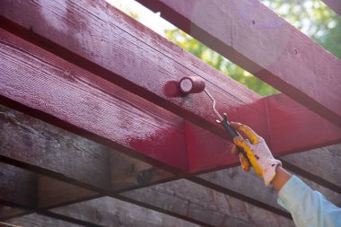 Sağ el Asyalı adam nitrile kaplı eldivenler takıyor kaykaylı kızılağaç pergola ahşap ahşap bahçe bahçesi, Dallas, Teksas, ABD 'de uzun kollu gömlek, ev yapımı. DYI projesi