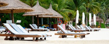 Palmiye yapraklarıyla kaplanmış plaj şemsiyeleriyle kaplı panorama sırasındaki şezlonga Nha Trang, Vietnam 'da lüks bir tatil beldesinin beyaz kumlu sahilinde hindistan cevizi ağaçları, tropikal bir varış yeri, sahil şeridi. Seyahat