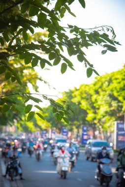 Bulanık arka planda ağaç yaprakları seçici bir şekilde Ho Chi Minh City şehir merkezinde ağaçlarla kaplı ana cadde boyunca motosiklet, araba ve otobüsle kalabalık trafiğe odaklanıyor. Vietnam