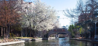 Beautiful blossom Bradford Pear trees along canal with outdoor string lights overhead decoration, Bricktown, Entertainment District in Oklahoma City, travel destination and tourist attractions. USA clipart