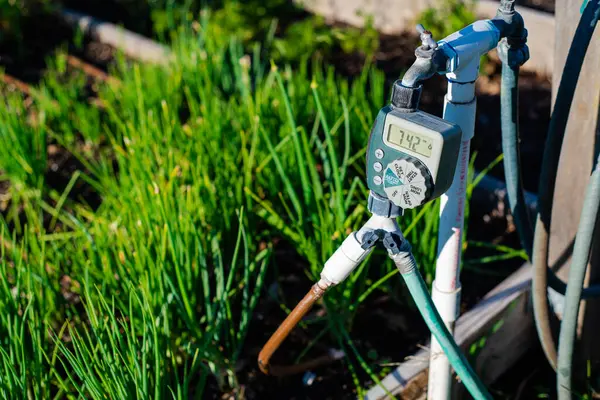 stock image Close-up large display of water timer at community garden in Dallas, Texas, outlet hose faucet digital timer with Y splitter connector automate drip irrigation system, water energy conservation. USA