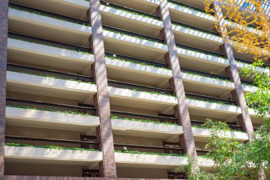 Doğal ışık ve yeşil bitki ağaçlarıyla tavan penceresi Dallas, Teksas 'taki modern otelin geniş çok katlı balkon dairesini, ekoloji zarafeti çevre dostu, avlu cam çatıyı kaplıyor. ABD