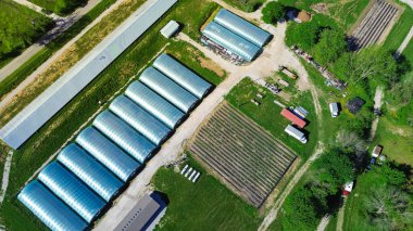 Row of high tunnel greenhouse or polyhouse, hoophouse with extra-long polythene growing hothouse at commercial farm in Ozarks aera, Mansfield, Missouri, aerial repetitive view large industrial. USA clipart