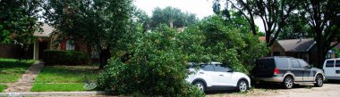 Panorama parked cars on residential street damaged by fallen tree branch, strong wind heavy thunderstorm in Dallas, Texas, automobile insurance claim concept, severe weather, tornado debris. USA clipart