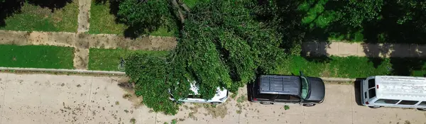 stock image Panorama straight aerial view large broken Bradford Callery pear damages cars on residential street, front yard curbside, severe thunderstorm, Dallas, Texas, home insurance claim, storm debris. USA