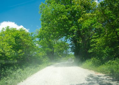 Mansfield, Missouri 'nin kırsal kesiminde toz çakıl yolu, yemyeşil ağaçlarla çevrili kırsal yol, güneşli mavi gökyüzü, uzak yoldan araba yolculuğu, taşra bölgesi, ulaşım geçmişi. ABD