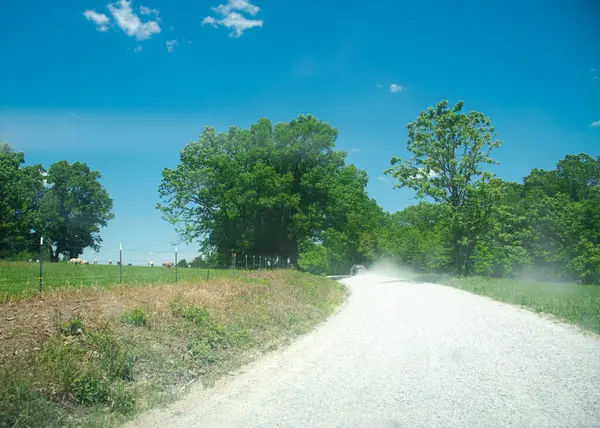 Dikenli tel örgülü çitleri ve Mansfield, Missouri 'nin kırsal kesiminde toz çakıl yolunun yanında otlayan sığır çiftliği, kırsal verimli ağaç tepe örtüsü güneşli mavi gökyüzü, uzak yolda araba yolculuğu. ABD