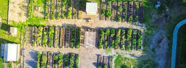 Panorama havacılık, ahşap, metal yükseltilmiş yataklar, yeşil evler, depolama kulübeleri, Dallas 'ta örtülü pergola, Texas' ta bahçe bankası bağışı yapan bir grup yama. ABD