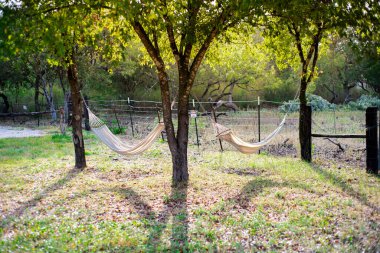 Double hammocks hanging under trees in early morning light at farmhouse backyard near barbed wire fence in rural countryside farm staying retreat outside of San Antonio, Texas, rest in the nature. USA