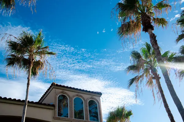 stock image Lookup up tall palm tree and clay tile roofs of upscale two-story beach houses at residential neighborhood in South Padres Island, tropical barrier island of Texas, vacation rental, travel. USA