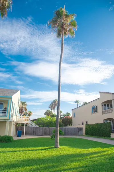 stock image Grassy lawn front yard of upscale two-story beach house with porch, clay tile roofs, row of tall tropical palm trees cloud blue sky South Padres Island, tropical barrier island, Texas vacation. USA