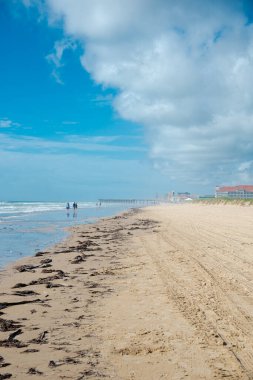 Güney Padre Adası 'nın uzak beyaz kumlu kıyı şeridi boyunca büyük miktarda yosun var. İnsanlar iskeleye ve okyanus kıyısındaki sahil dairesine, tatil köyüne, otele, Gulf Coast Bariyeri' ne doğru yürüyor. ABD
