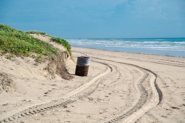 Railroad vine, morning glory vegetation dense cover hill white sandy shoreline, trash can barrel plastic liner, ATV tracks remote South Padre Island, tropical beach Texas, littering management. USA clipart