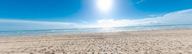 Panorama view remote deserted beach white sandy shoreline pile of sargassum seaweed, ATV tracks at South Padre Island, travel and vacation destination in Gulf Coast barrier island, sunny blue sky. USA clipart