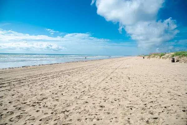 stock image Remote deserted beach white sandy shoreline pile of sargassum seaweed, people walking and ATV tracks, jetty with oceanfront beach condo, resort, hotel in distant background, South Padre Island. USA