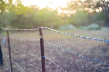 San Antonio, Teksas yakınlarındaki kırsal arazide dikenli teller, çitin kenarlarında çitler, çiftlik hayvanlarının sığırlarını korumak için çelik t-direği, sabah erken saatlerde bulanık ağaç yaprakları. ABD