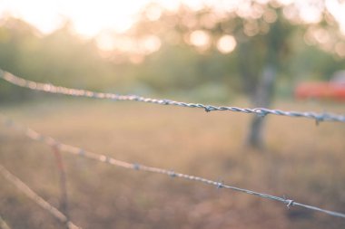 San Antonio, Teksas yakınlarındaki kır arazisinde tonlarca fotoğraf dikenli tel örgü, çiftlik hayvanlarını korumak için keskin kenarlı çit çeliği t-direği, sabah erken saatlerde bulanık ağaç yaprakları. ABD