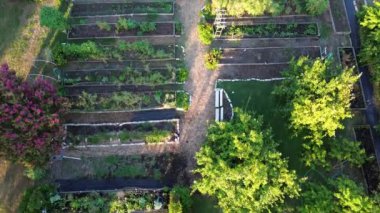 Bahçe pergola, meyve ve gölgelik ağaçlar, ahşap sıra, metal galvanize kaldırılmış yataklar Coppell 'de, Dallas Teksas' ın banliyölerinde, organik yetiştirilmiş sebze bahçeleri.